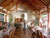 The dining area, note the Christmas tree!