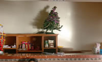 the evergreen christmas tree