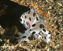 taken in jan 06