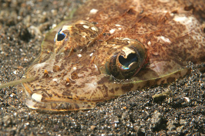taken in Jan 2006