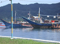 Police Pier