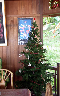 A Christmas tree adds a nice warm touch